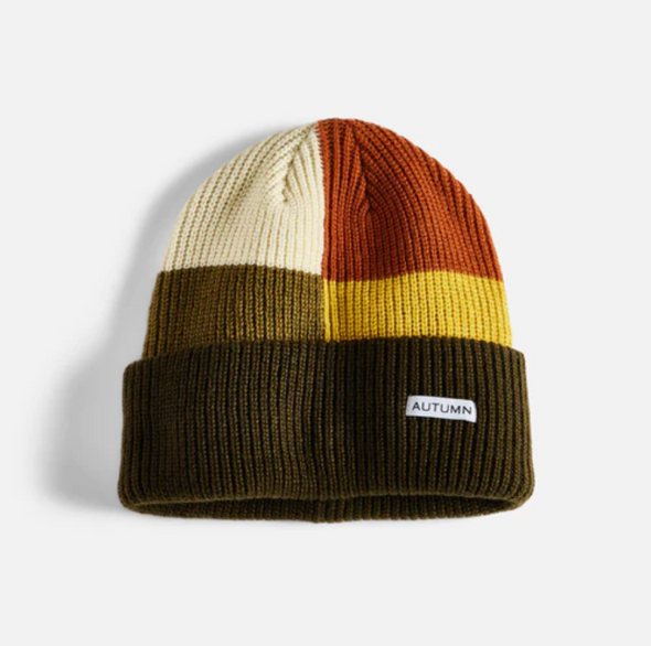 Autumn Chevron eggplant Beanie