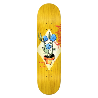 Krooked knox Blue Flowers 8.5 Deck