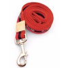 Chocolate Leash and Collar