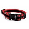 Chocolate Leash and Collar